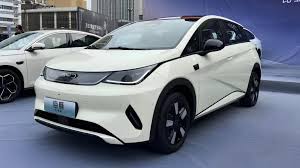 BYD DOLPHIN Highlight 2